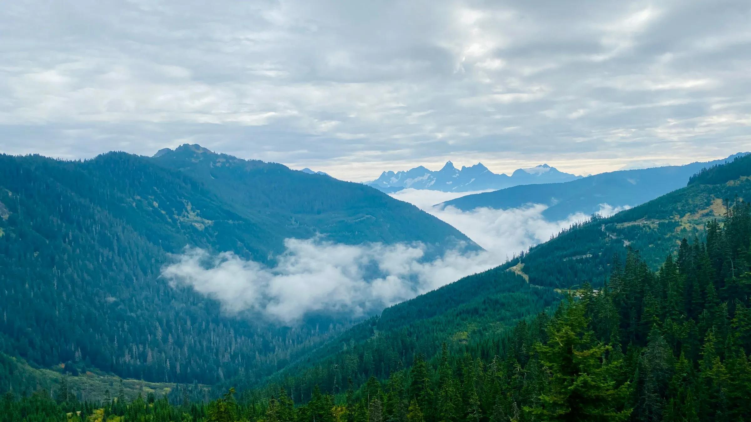 Book Demo Background