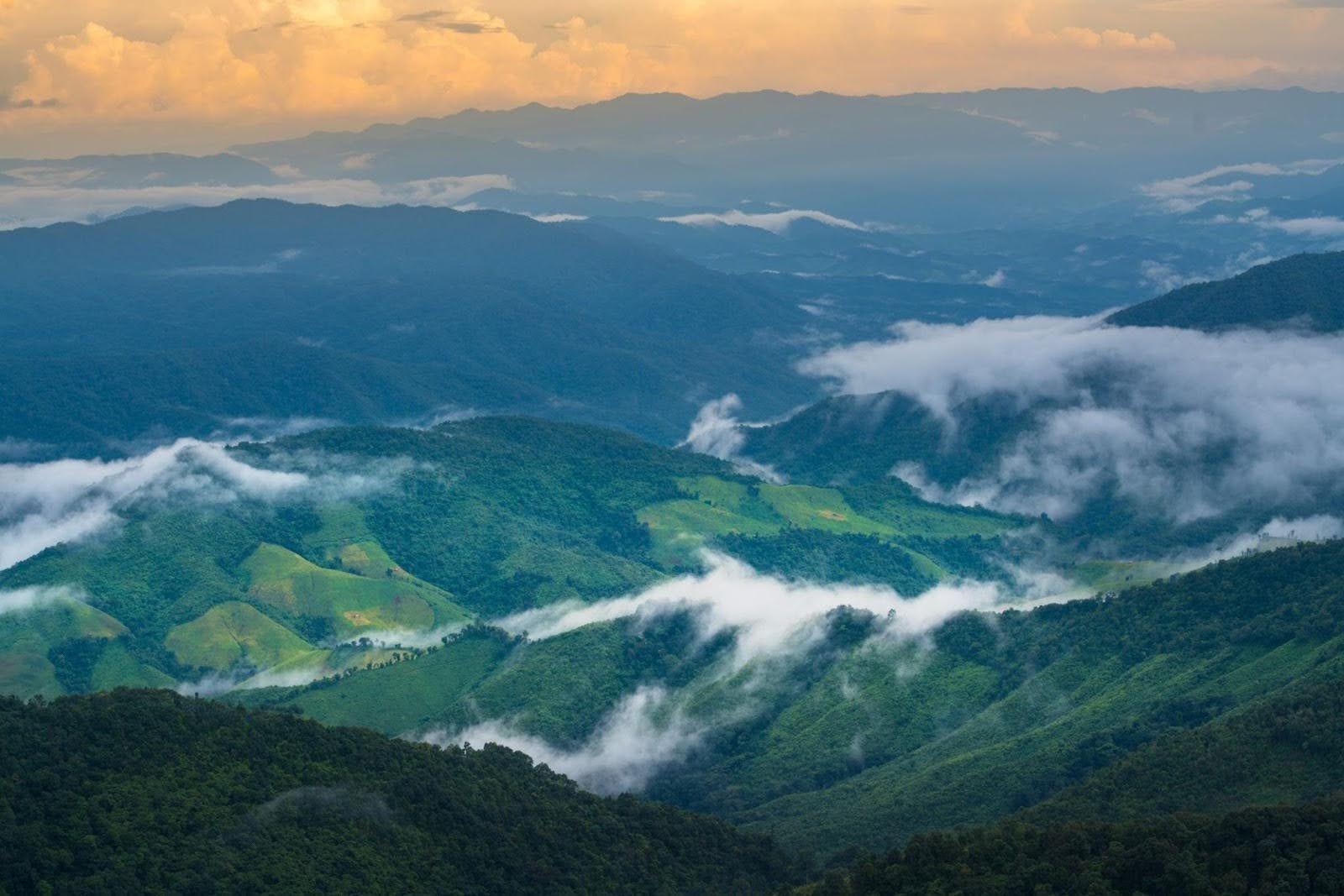 How Geospatial Data Supports Climate and Biodiversity Intelligence