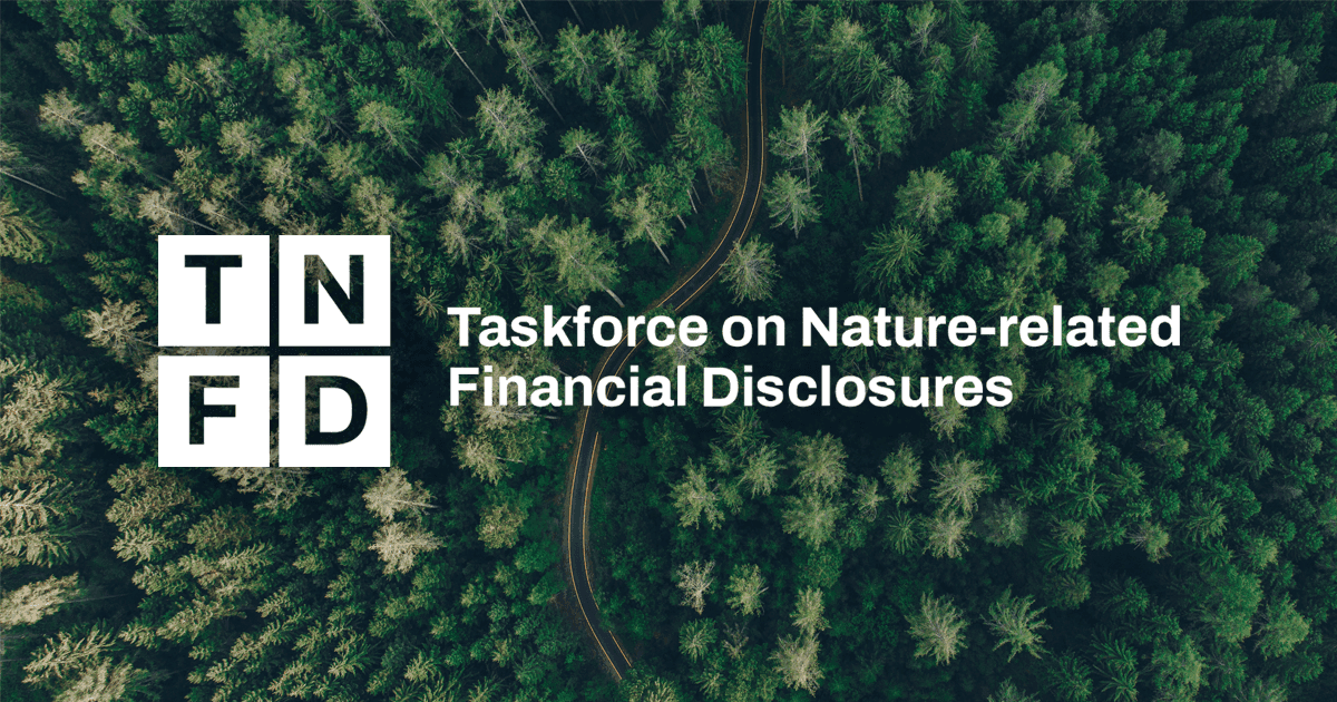 TNFD Explained: Understanding Nature-Related Risks for Businesses
