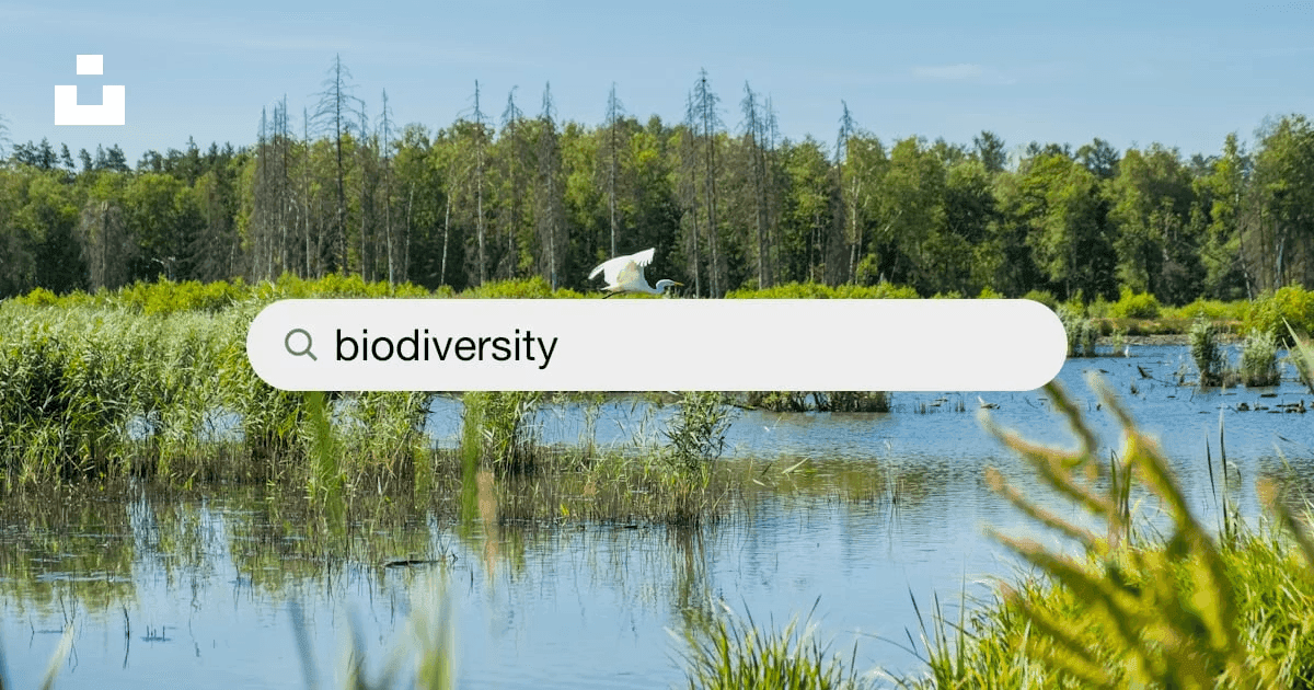 Biodiversity Monitoring Explained: Methods, Metrics, and Technology