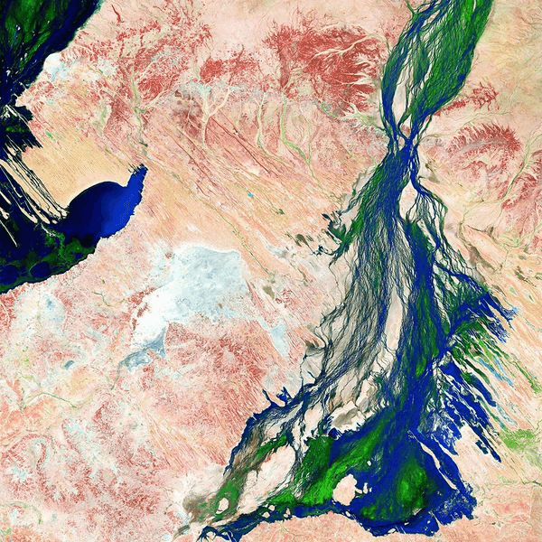 Image_4.png