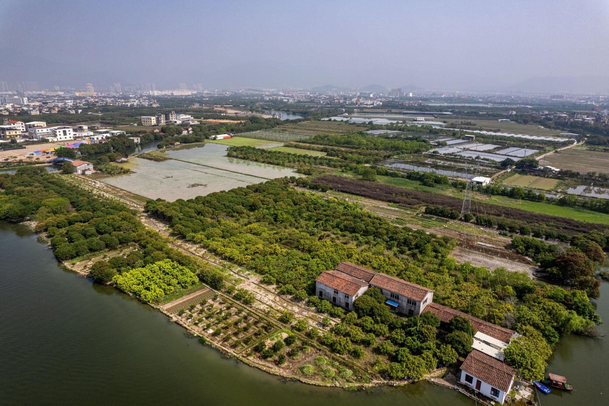 Image_5.jpg