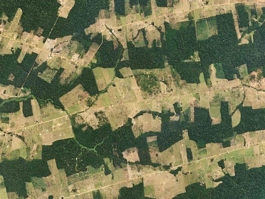 Image_5.jpg
