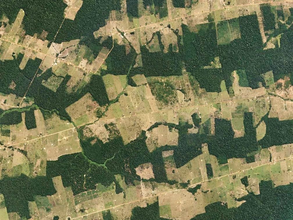 Image_5.jpg